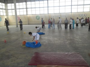 oila2