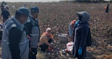 СИРДАРЁ ВИЛОЯТИДА ПАХТА ТЕРИМИ ЖАРАЁНИ УСТИДАН ЖАМОАТЧИЛИК НАЗОРАТИНИ ОЛИБ БОРИЛМОҚДА!