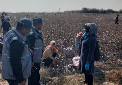 СИРДАРЁ ВИЛОЯТИДА ПАХТА ТЕРИМИ ЖАРАЁНИ УСТИДАН ЖАМОАТЧИЛИК НАЗОРАТИНИ ОЛИБ БОРИЛМОҚДА!