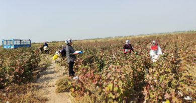 ПАХТА ПУЛЛАРИНИ ОЛИШДИ