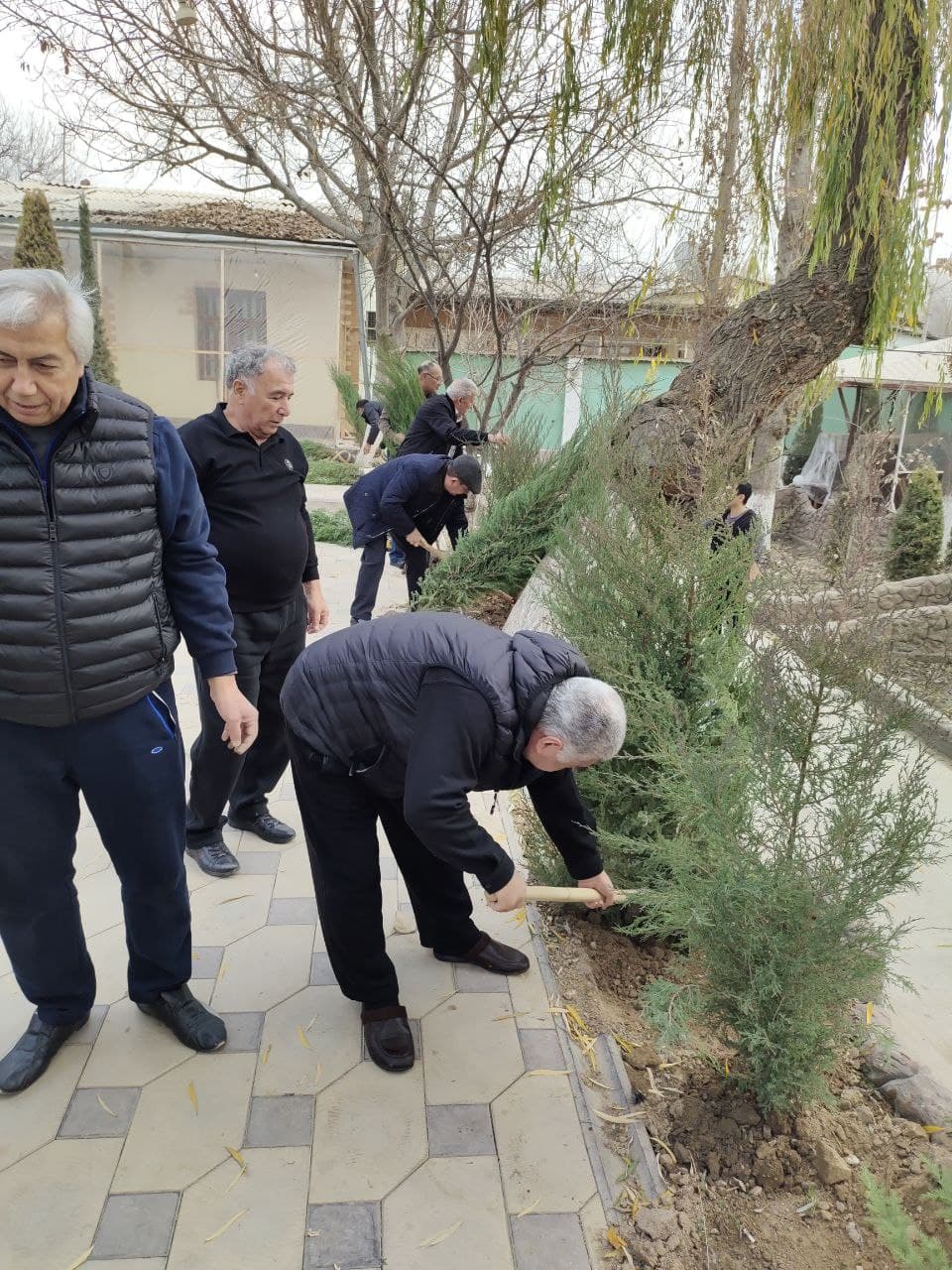 “Яшил макон” умуммиллий лойиҳаси амалда